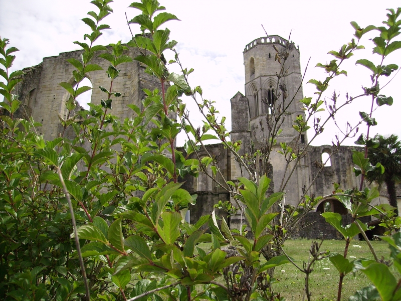 Abbaye de la Sauve-Majeure