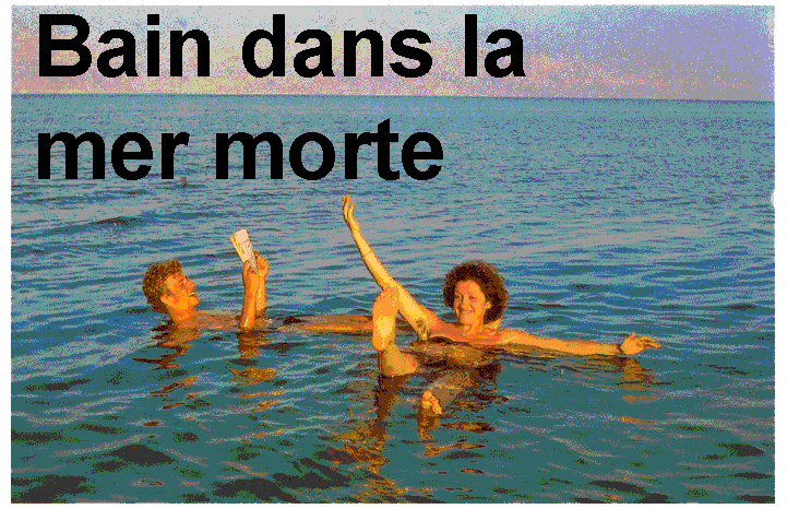 17 bain dans la mer morte